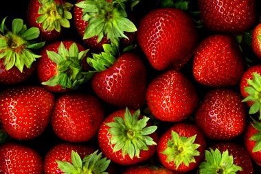 Camino Real strawberry